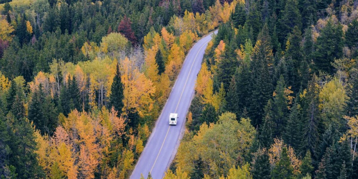 How Will Autonomous Cars Impact The Environment?