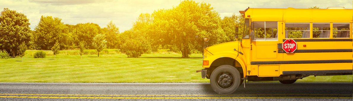 Prepare for a Safe School Year with Traffic Safety Store